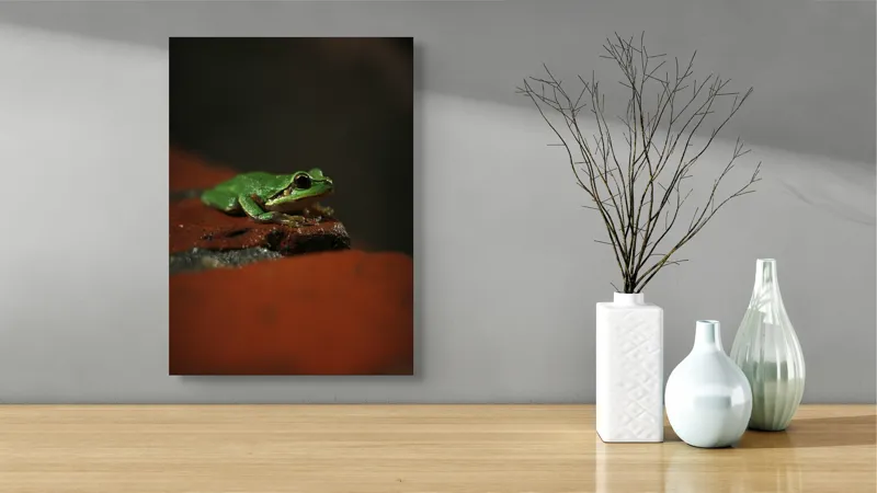 Tablou Canvas, "Broască singuratică pe piatră umedă", Verde, Mică, Broască, Apăsat, Ochi, Ascuns, Umectat, Textură., 39 x 54 cm – poza 4