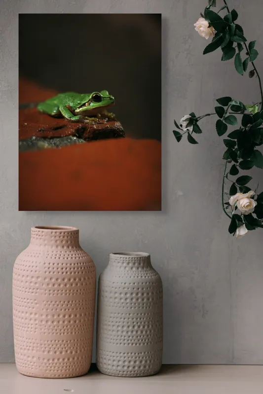 Tablou Canvas, "Broască singuratică pe piatră umedă", Verde, Mică, Broască, Apăsat, Ochi, Ascuns, Umectat, Textură., 39 x 54 cm – poza 6