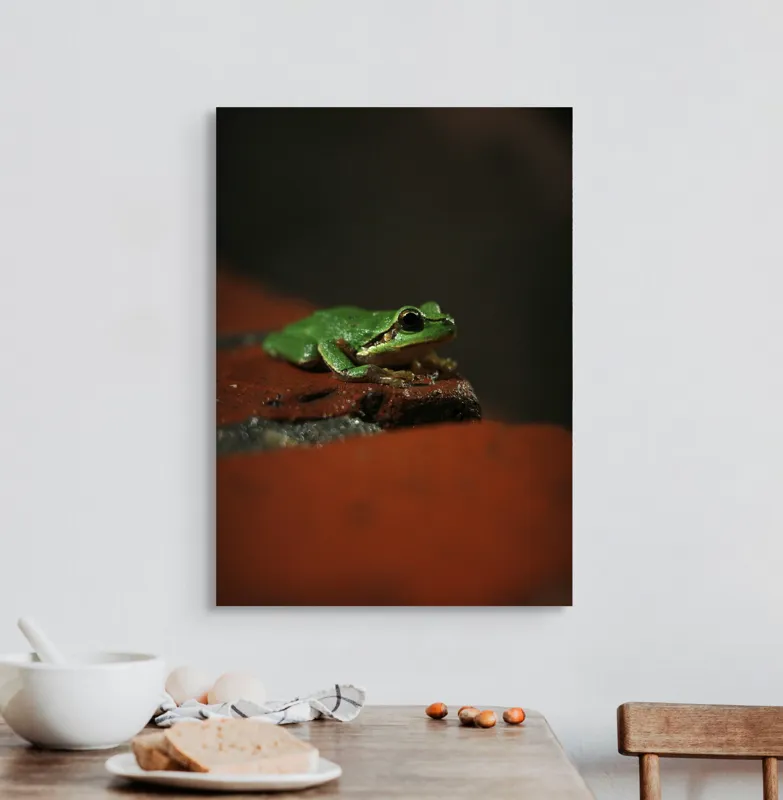 Tablou Canvas, "Broască singuratică pe piatră umedă", Verde, Mică, Broască, Apăsat, Ochi, Ascuns, Umectat, Textură., 50 x 70 cm – poza 3