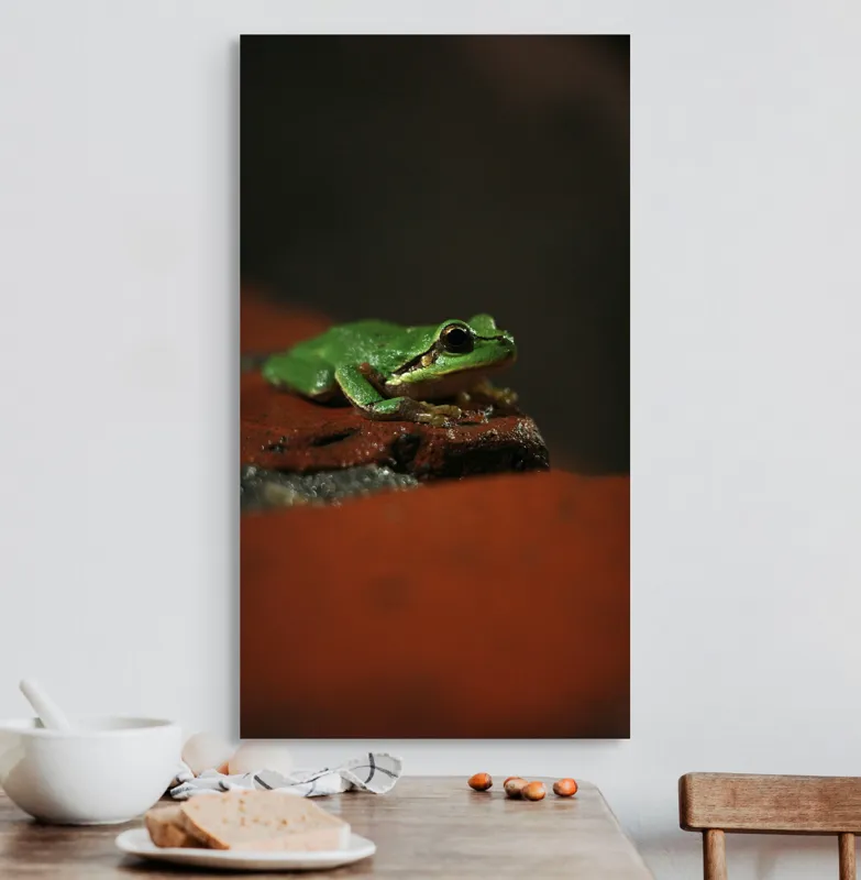 Tablou Canvas, "Broască singuratică pe piatră umedă", Verde, Mică, Broască, Apăsat, Ochi, Ascuns, Umectat, Textură., 50 x 90 cm – poza 3