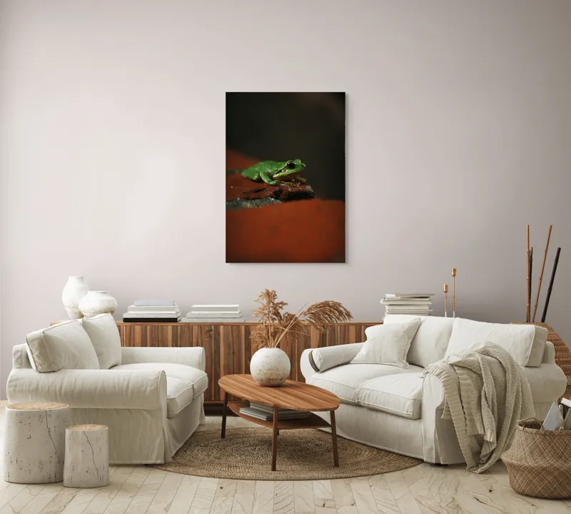 Tablou Canvas, "Broască singuratică pe piatră umedă", Verde, Mică, Broască, Apăsat, Ochi, Ascuns, Umectat, Textură., 70 x 100 cm – poza 4