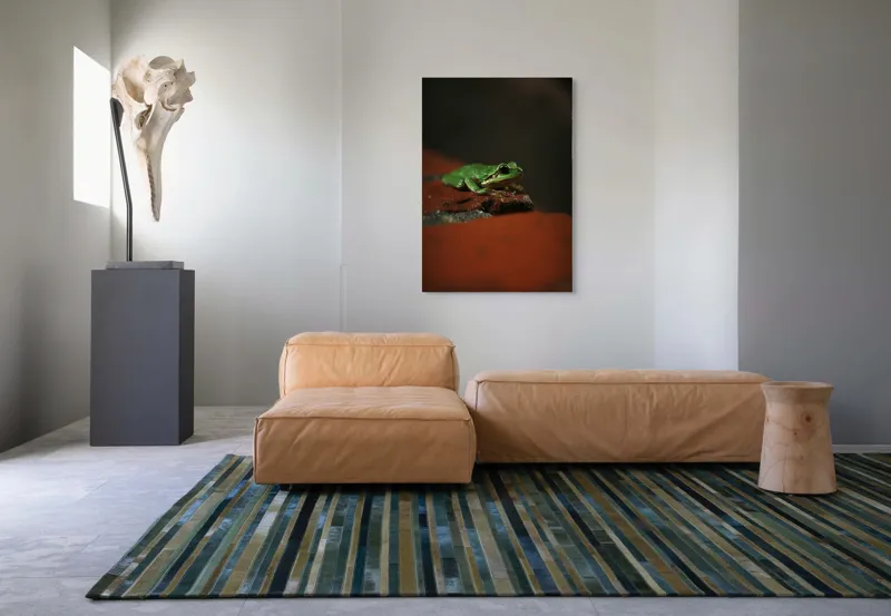 Tablou Canvas, "Broască singuratică pe piatră umedă", Verde, Mică, Broască, Apăsat, Ochi, Ascuns, Umectat, Textură., 70 x 100 cm – poza 7