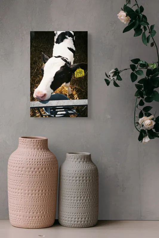 Tablou Canvas, "Mânzul curios în ocolul său.", 26 x 39 cm – poza 6