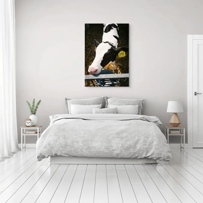 Tablou Canvas, "Mânzul curios în ocolul său.", 70 x 100 cm – poza 3