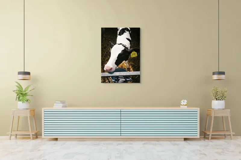 Tablou Canvas, "Mânzul curios în ocolul său.", 70 x 100 cm – poza 5