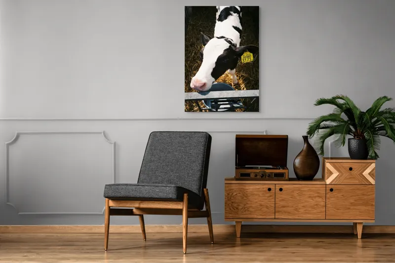 Tablou Canvas, "Mânzul curios în ocolul său.", 70 x 100 cm – poza 6