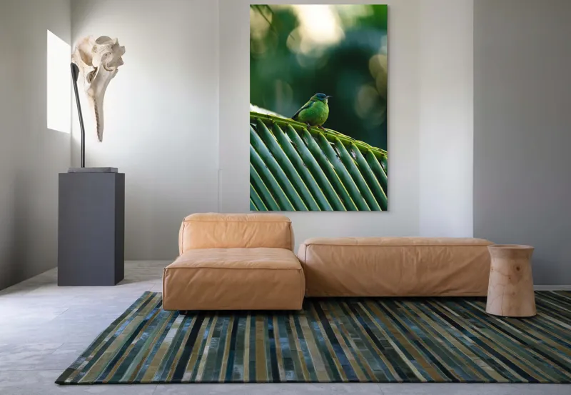 Tablou Canvas, "Păsărică pe frunza de palmier", Plumaj, Verde, Pădure, Natură, Serenitate, Pene, Frumusețe, Liniște, 100 x 150 cm – poza 7