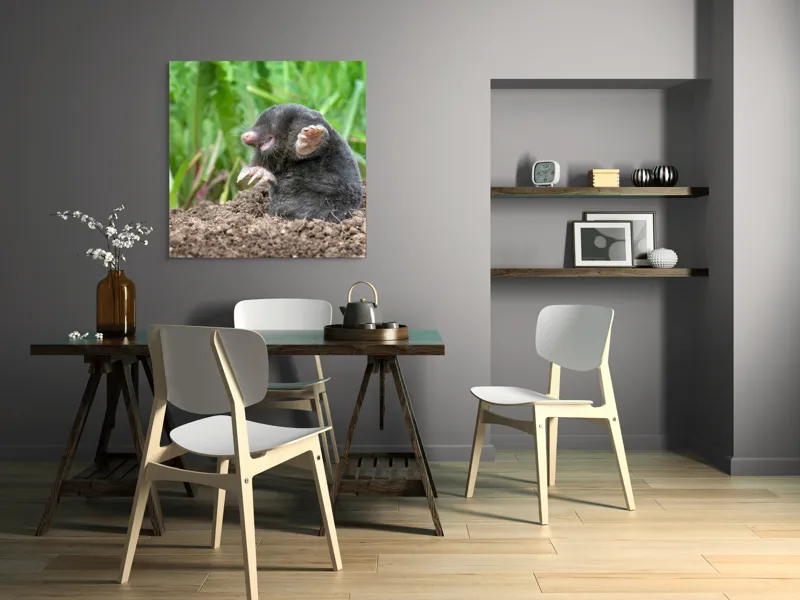 Tablou Canvas, "Cârtița veselă în grădină verde", Mole, Soil, Claws, Grass, Nature, Burrow, 100 x 100 cm – poza 6