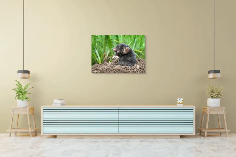 Tablou Canvas, "Cârtița veselă în grădină verde", Mole, Soil, Claws, Grass, Nature, Burrow, 100 x 70 cm – poza 4