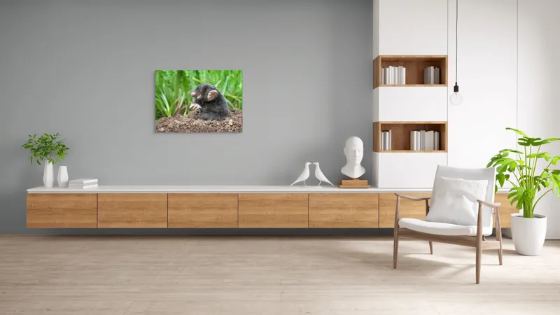 Tablou Canvas, "Cârtița veselă în grădină verde", Mole, Soil, Claws, Grass, Nature, Burrow, 100 x 70 cm – poza 6