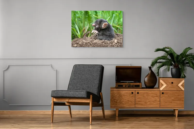 Tablou Canvas, "Cârtița veselă în grădină verde", Mole, Soil, Claws, Grass, Nature, Burrow, 100 x 70 cm – poza 8