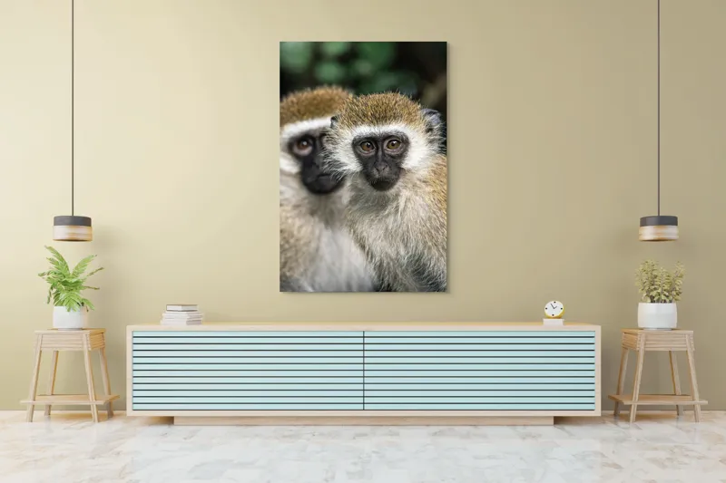 Tablou Canvas, "Două maimuțe printre copaci verzi", Primate, Blană, Privire, Curiozitate, Natură, Expresie, Părțile, Față, Ochii, Verde, Focalizare, Surprindere, Păr Pufoș, Vedere, Contrast., 100 x 150 cm – poza 4