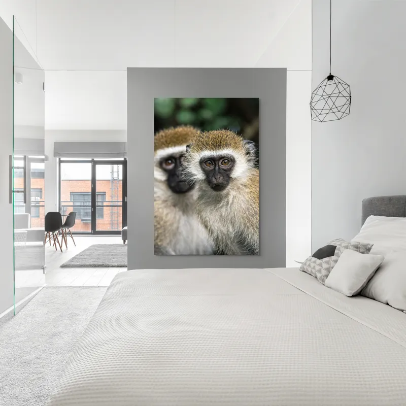 Tablou Canvas, "Două maimuțe printre copaci verzi", Primate, Blană, Privire, Curiozitate, Natură, Expresie, Părțile, Față, Ochii, Verde, Focalizare, Surprindere, Păr Pufoș, Vedere, Contrast., 100 x 150 cm – poza 5