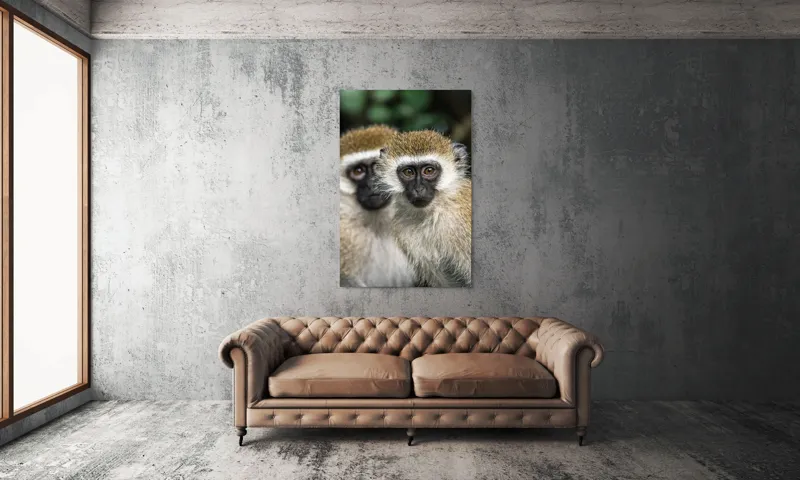 Tablou Canvas, "Două maimuțe printre copaci verzi", Primate, Blană, Privire, Curiozitate, Natură, Expresie, Părțile, Față, Ochii, Verde, Focalizare, Surprindere, Păr Pufoș, Vedere, Contrast., 100 x 150 cm – poza 6