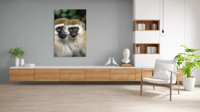 Tablou Canvas, "Două maimuțe printre copaci verzi", Primate, Blană, Privire, Curiozitate, Natură, Expresie, Părțile, Față, Ochii, Verde, Focalizare, Surprindere, Păr Pufoș, Vedere, Contrast., 100 x 150 cm – poza 8