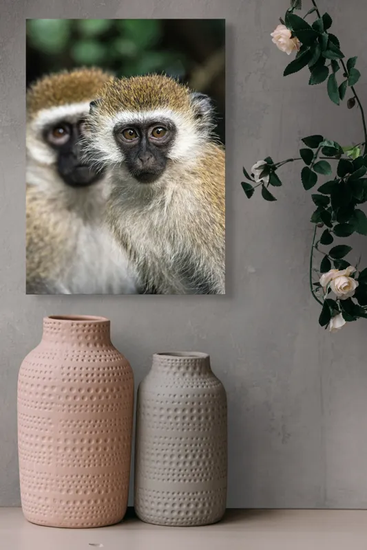 Tablou Canvas, "Două maimuțe printre copaci verzi", Primate, Blană, Privire, Curiozitate, Natură, Expresie, Părțile, Față, Ochii, Verde, Focalizare, Surprindere, Păr Pufoș, Vedere, Contrast., 39 x 54 cm – poza 6