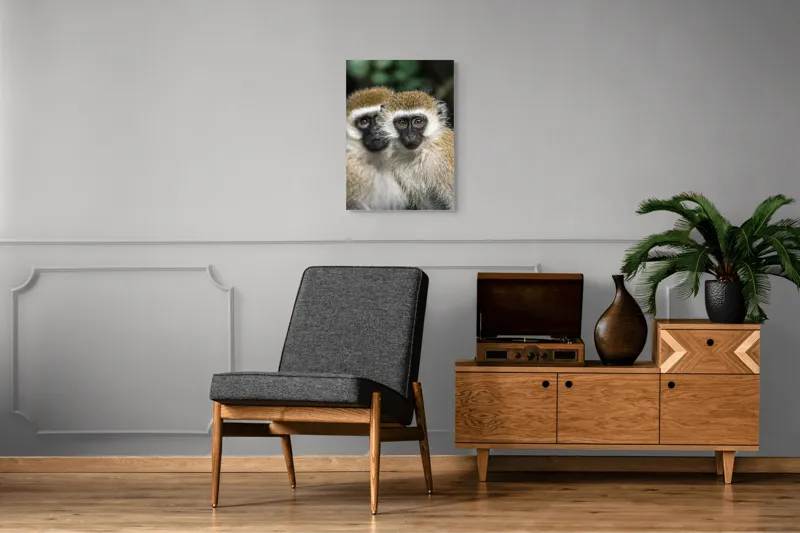 Tablou Canvas, "Două maimuțe printre copaci verzi", Primate, Blană, Privire, Curiozitate, Natură, Expresie, Părțile, Față, Ochii, Verde, Focalizare, Surprindere, Păr Pufoș, Vedere, Contrast., 50 x 70 cm – poza 8