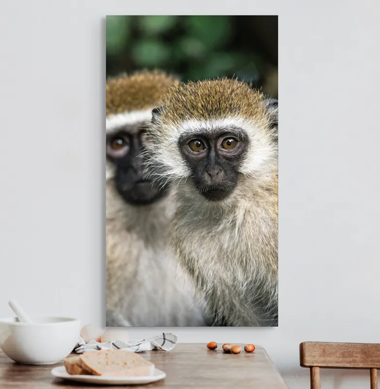 Tablou Canvas, "Două maimuțe printre copaci verzi", Primate, Blană, Privire, Curiozitate, Natură, Expresie, Părțile, Față, Ochii, Verde, Focalizare, Surprindere, Păr Pufoș, Vedere, Contrast., 50 x 90 cm – poza 3