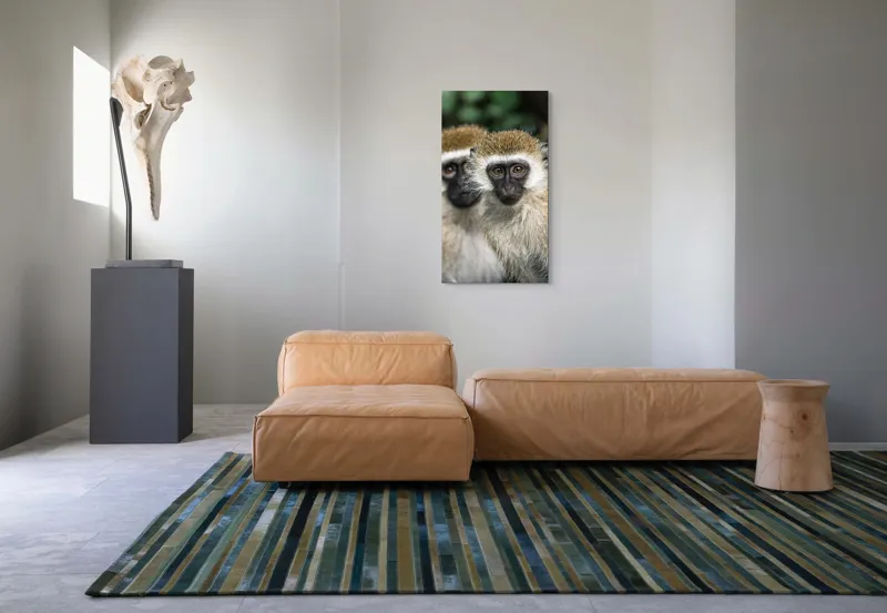 Tablou Canvas, "Două maimuțe printre copaci verzi", Primate, Blană, Privire, Curiozitate, Natură, Expresie, Părțile, Față, Ochii, Verde, Focalizare, Surprindere, Păr Pufoș, Vedere, Contrast., 50 x 90 cm – poza 5