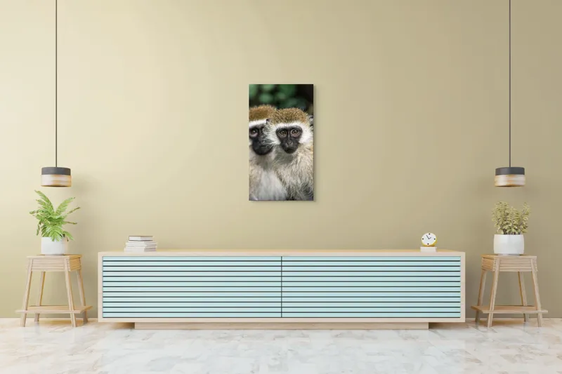 Tablou Canvas, "Două maimuțe printre copaci verzi", Primate, Blană, Privire, Curiozitate, Natură, Expresie, Părțile, Față, Ochii, Verde, Focalizare, Surprindere, Păr Pufoș, Vedere, Contrast., 50 x 90 cm – poza 6