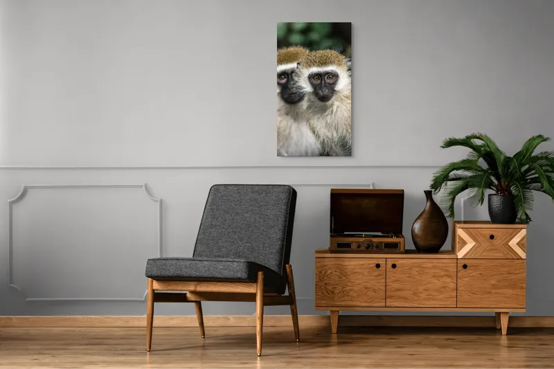 Tablou Canvas, "Două maimuțe printre copaci verzi", Primate, Blană, Privire, Curiozitate, Natură, Expresie, Părțile, Față, Ochii, Verde, Focalizare, Surprindere, Păr Pufoș, Vedere, Contrast., 50 x 90 cm – poza 8