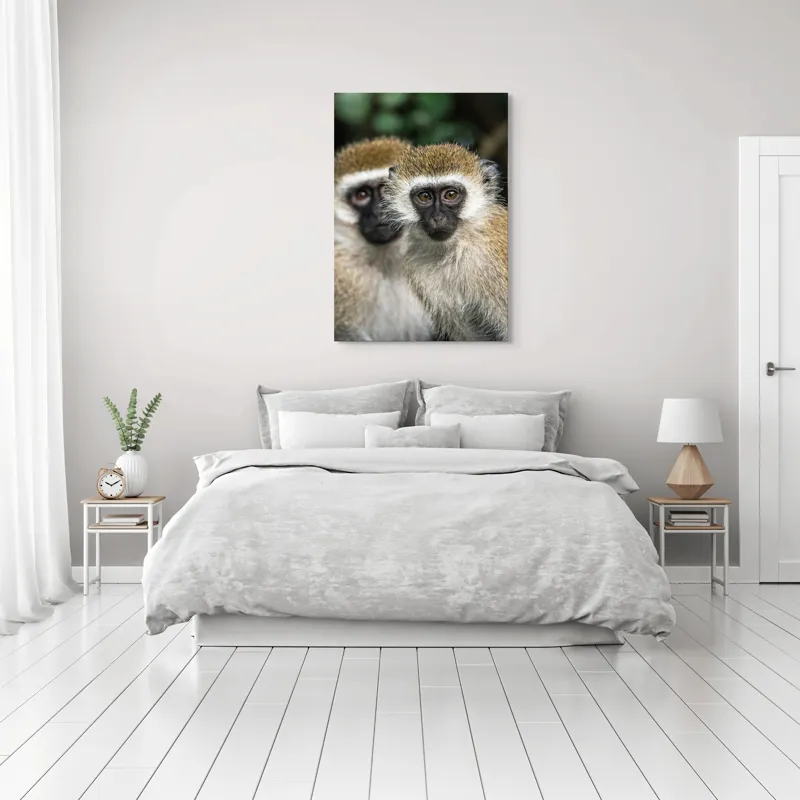 Tablou Canvas, "Două maimuțe printre copaci verzi", Primate, Blană, Privire, Curiozitate, Natură, Expresie, Părțile, Față, Ochii, Verde, Focalizare, Surprindere, Păr Pufoș, Vedere, Contrast., 70 x 100 cm – poza 3