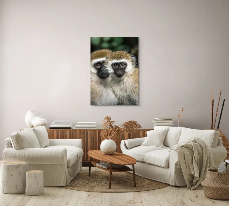 Tablou Canvas, "Două maimuțe printre copaci verzi", Primate, Blană, Privire, Curiozitate, Natură, Expresie, Părțile, Față, Ochii, Verde, Focalizare, Surprindere, Păr Pufoș, Vedere, Contrast., 70 x 100 cm – poza 4