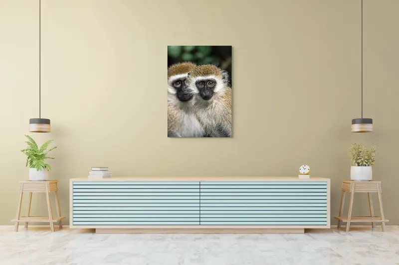 Tablou Canvas, "Două maimuțe printre copaci verzi", Primate, Blană, Privire, Curiozitate, Natură, Expresie, Părțile, Față, Ochii, Verde, Focalizare, Surprindere, Păr Pufoș, Vedere, Contrast., 70 x 100 cm – poza 5