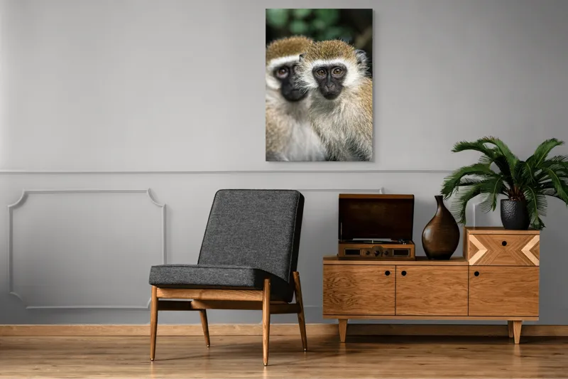 Tablou Canvas, "Două maimuțe printre copaci verzi", Primate, Blană, Privire, Curiozitate, Natură, Expresie, Părțile, Față, Ochii, Verde, Focalizare, Surprindere, Păr Pufoș, Vedere, Contrast., 70 x 100 cm – poza 6