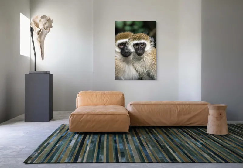 Tablou Canvas, "Două maimuțe printre copaci verzi", Primate, Blană, Privire, Curiozitate, Natură, Expresie, Părțile, Față, Ochii, Verde, Focalizare, Surprindere, Păr Pufoș, Vedere, Contrast., 70 x 100 cm – poza 7