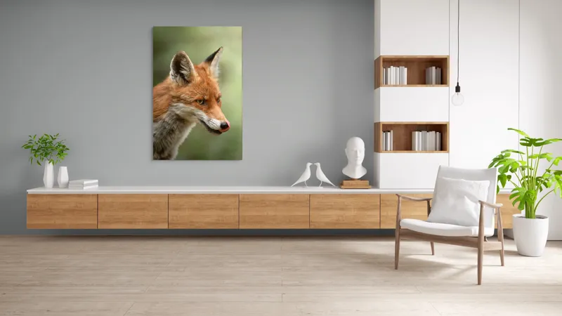 Tablou Canvas, "Vulpea contemplativă în lumina dimineții", Vulpe, Blană, Urechi, Nas, Ochi, Limbă, Natură, Concentrat, Sălbăticie, Pădure, 100 x 150 cm – poza 8