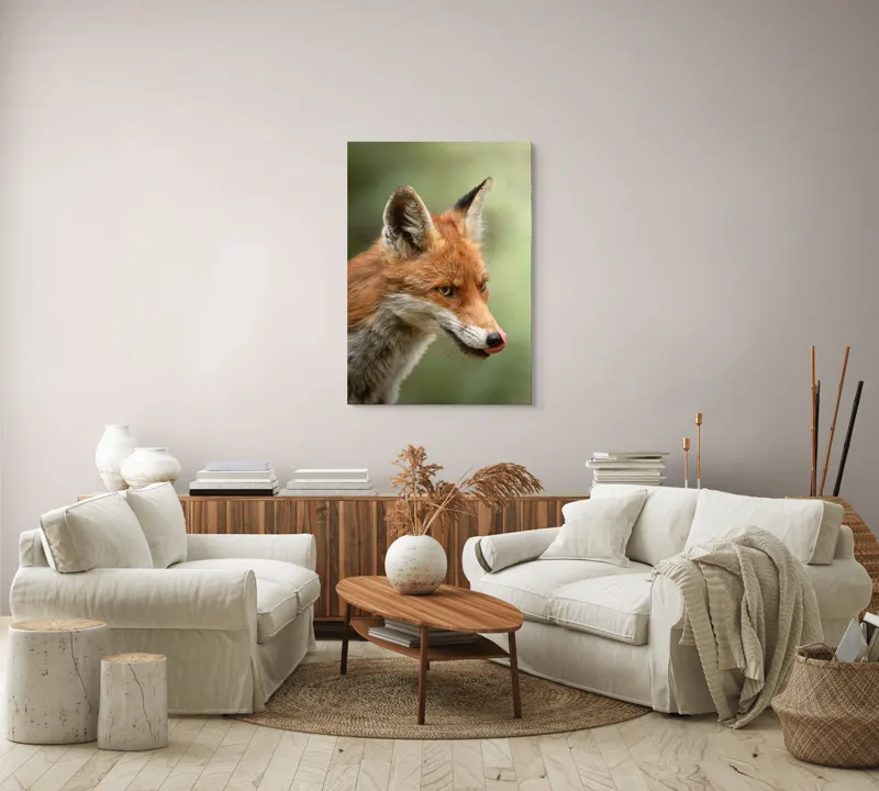 Tablou Canvas, "Vulpea contemplativă în lumina dimineții", Vulpe, Blană, Urechi, Nas, Ochi, Limbă, Natură, Concentrat, Sălbăticie, Pădure, 70 x 100 cm – poza 4
