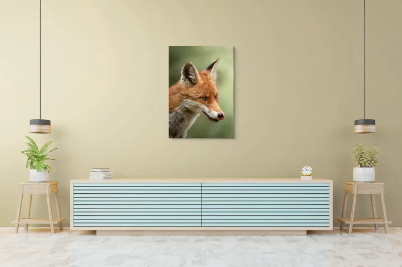 Tablou Canvas, "Vulpea contemplativă în lumina dimineții", Vulpe, Blană, Urechi, Nas, Ochi, Limbă, Natură, Concentrat, Sălbăticie, Pădure, 70 x 100 cm – poza 5