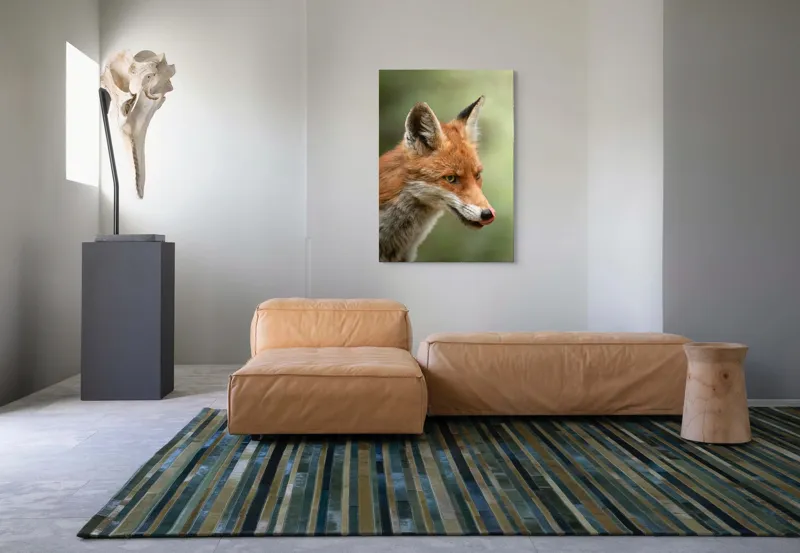 Tablou Canvas, "Vulpea contemplativă în lumina dimineții", Vulpe, Blană, Urechi, Nas, Ochi, Limbă, Natură, Concentrat, Sălbăticie, Pădure, 70 x 100 cm – poza 7