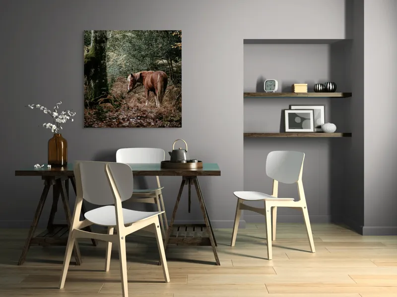 Tablou Canvas, "Calul rătăcit în pădurea de toamnă", Cal, Pădure, Toamnă, Frunziș, Trunchi, Copaci, Natură, Blană, Verde, Peisaj, 100 x 100 cm – poza 6