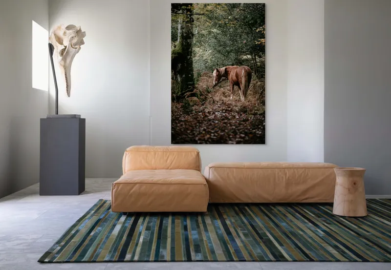Tablou Canvas, "Calul rătăcit în pădurea de toamnă", Cal, Pădure, Toamnă, Frunziș, Trunchi, Copaci, Natură, Blană, Verde, Peisaj, 100 x 150 cm – poza 7