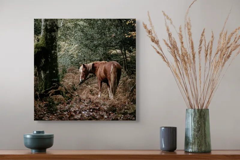 Tablou Canvas, "Calul rătăcit în pădurea de toamnă", Cal, Pădure, Toamnă, Frunziș, Trunchi, Copaci, Natură, Blană, Verde, Peisaj, 50 x 50 cm – poza 4