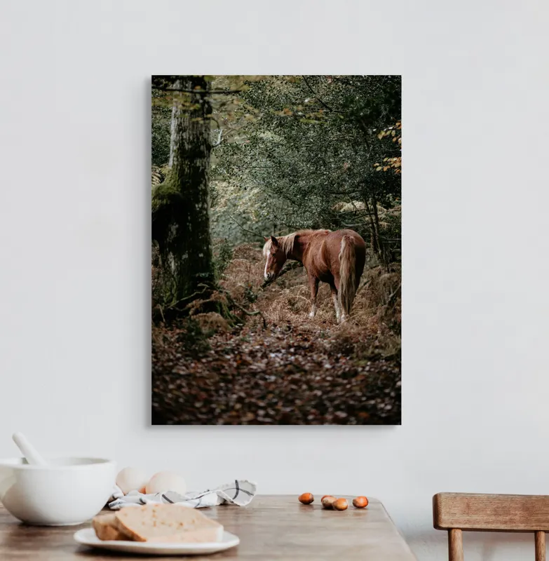 Tablou Canvas, "Calul rătăcit în pădurea de toamnă", Cal, Pădure, Toamnă, Frunziș, Trunchi, Copaci, Natură, Blană, Verde, Peisaj, 50 x 70 cm – poza 3