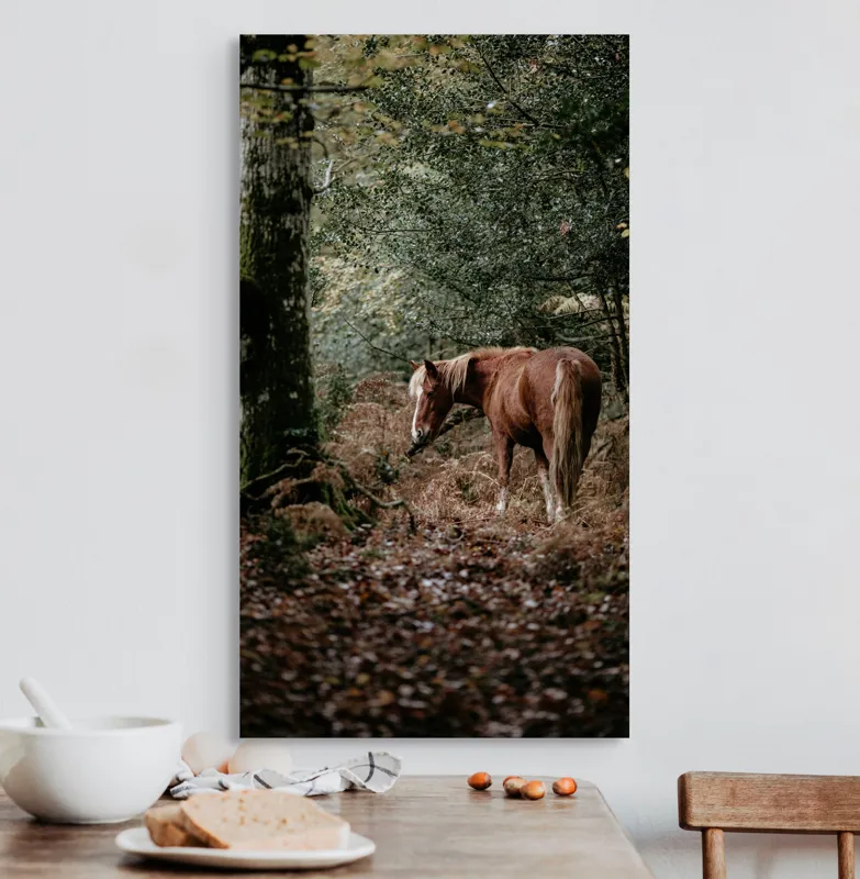 Tablou Canvas, "Calul rătăcit în pădurea de toamnă", Cal, Pădure, Toamnă, Frunziș, Trunchi, Copaci, Natură, Blană, Verde, Peisaj, 50 x 90 cm – poza 3