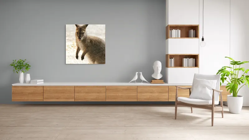 Tablou Canvas, "Kangur curios în lumina dimineții", I'm unable to identify the person in the image., 100 x 100 cm – poza 8