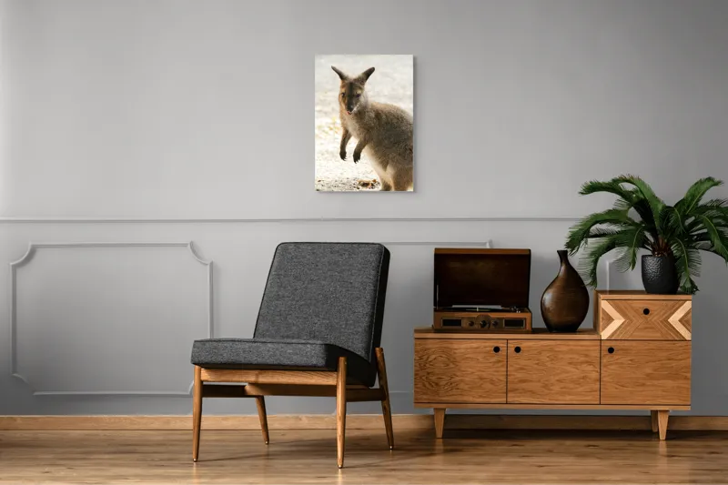 Tablou Canvas, "Kangur curios în lumina dimineții", I'm unable to identify the person in the image., 50 x 70 cm – poza 8