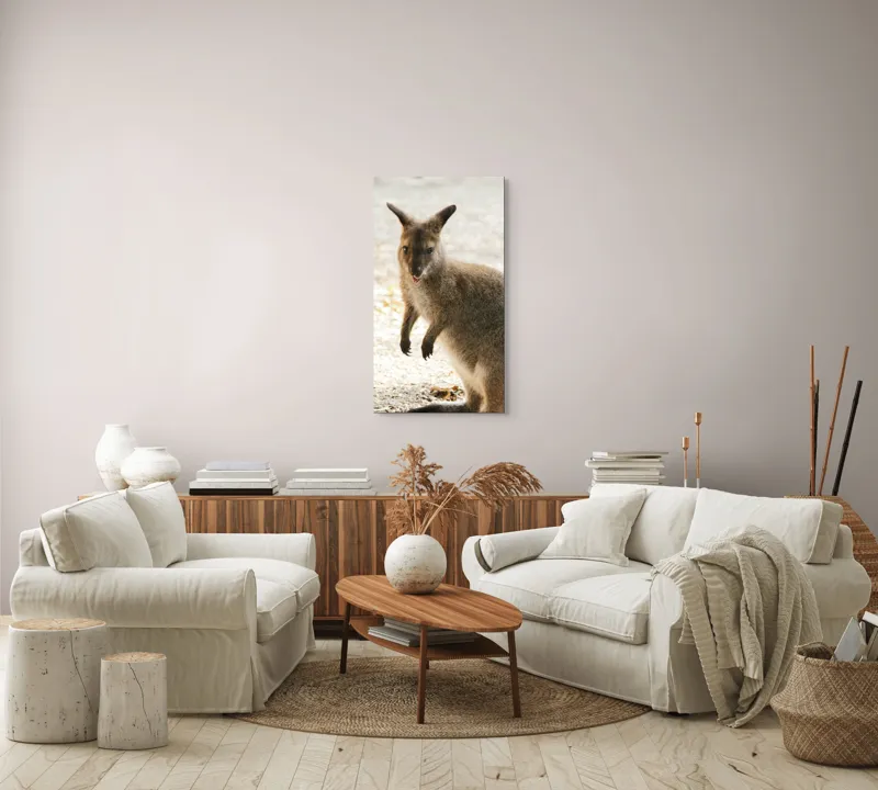 Tablou Canvas, "Kangur curios în lumina dimineții", 50 x 90 cm – poza 7