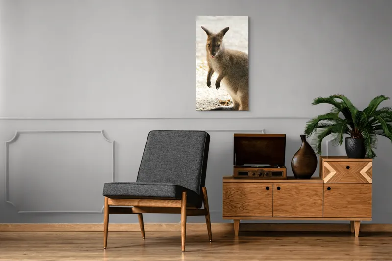 Tablou Canvas, "Kangur curios în lumina dimineții", 50 x 90 cm – poza 8