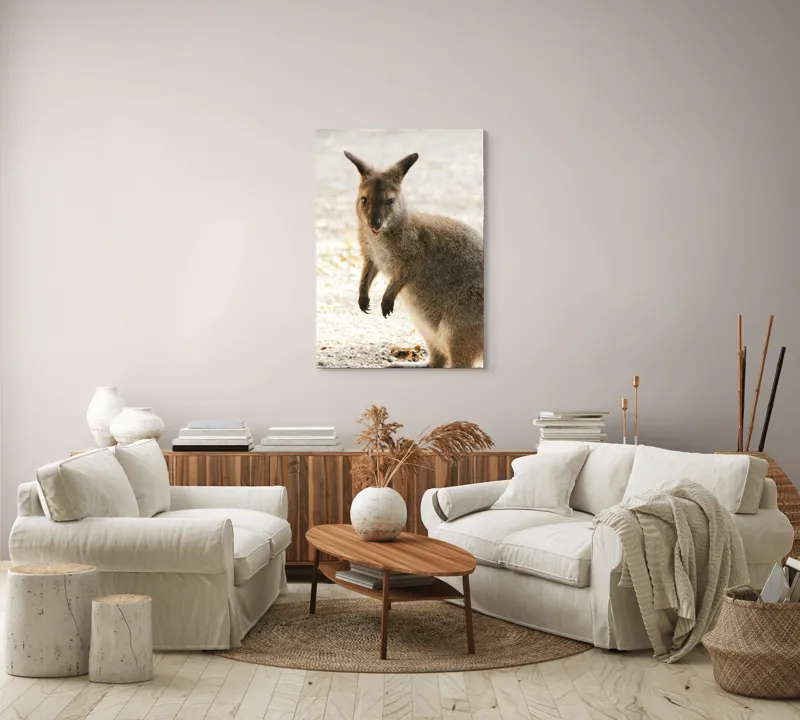 Tablou Canvas, "Kangur curios în lumina dimineții", I'm unable to identify the person in the image., 70 x 100 cm – poza 4