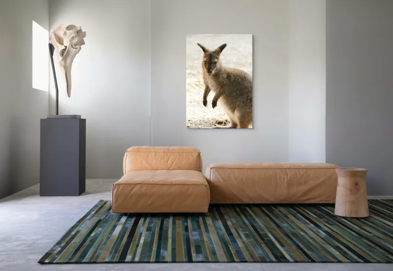 Tablou Canvas, "Kangur curios în lumina dimineții", I'm unable to identify the person in the image., 70 x 100 cm – poza 7