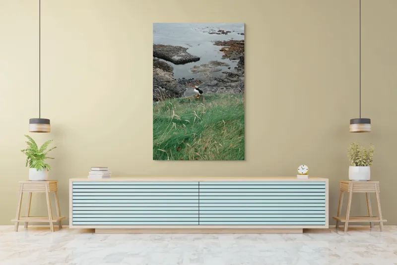Tablou Canvas, "Pufin solitar pe stâncile de coastă", Iarba, Puffin, Stânci, Mare, Cer, Horizon, Valuri, Natură, Sălbăticie, Peisaj., 100 x 150 cm – poza 4