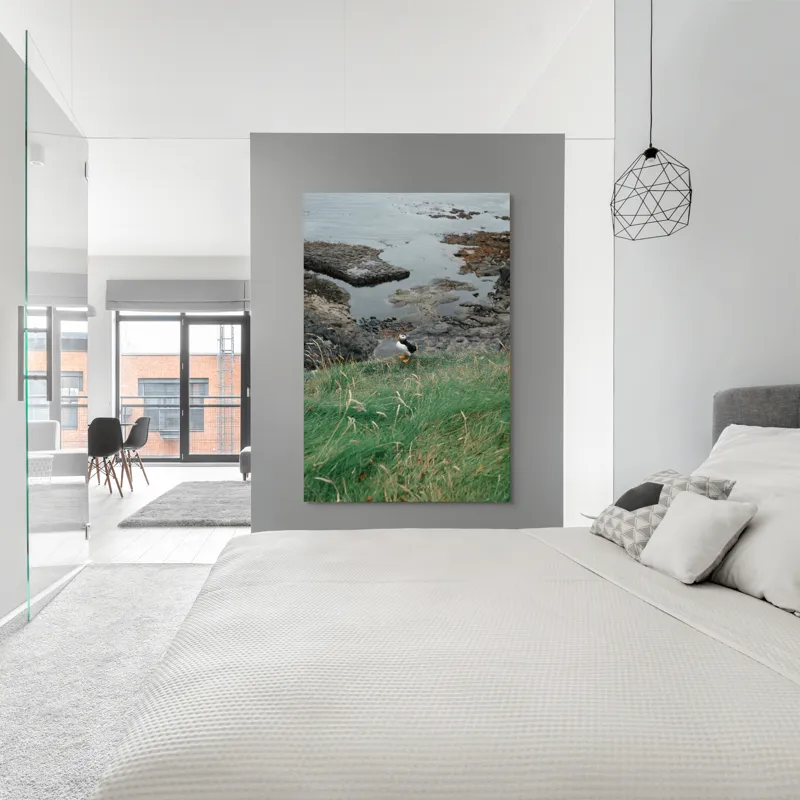Tablou Canvas, "Pufin solitar pe stâncile de coastă", Iarba, Puffin, Stânci, Mare, Cer, Horizon, Valuri, Natură, Sălbăticie, Peisaj., 100 x 150 cm – poza 5