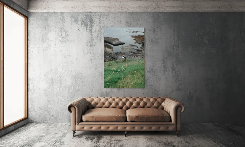 Tablou Canvas, "Pufin solitar pe stâncile de coastă", Iarba, Puffin, Stânci, Mare, Cer, Horizon, Valuri, Natură, Sălbăticie, Peisaj., 100 x 150 cm – poza 6