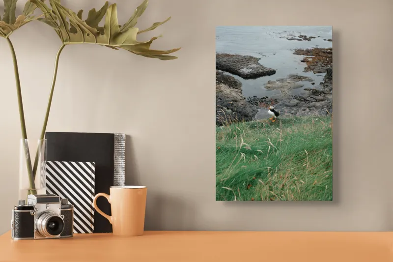 Tablou Canvas, "Pufin solitar pe stâncile de coastă", Iarba, Puffin, Stânci, Mare, Cer, Horizon, Valuri, Natură, Sălbăticie, Peisaj., 26 x 39 cm – poza 3
