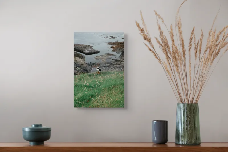 Tablou Canvas, "Pufin solitar pe stâncile de coastă", Iarba, Puffin, Stânci, Mare, Cer, Horizon, Valuri, Natură, Sălbăticie, Peisaj., 26 x 39 cm – poza 5